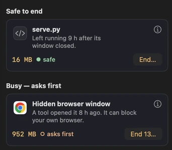 Cause cards: serve.py left running 9 h after its window closed, 16 MB, safe; a hidden browser window, 952 MB, asks first.